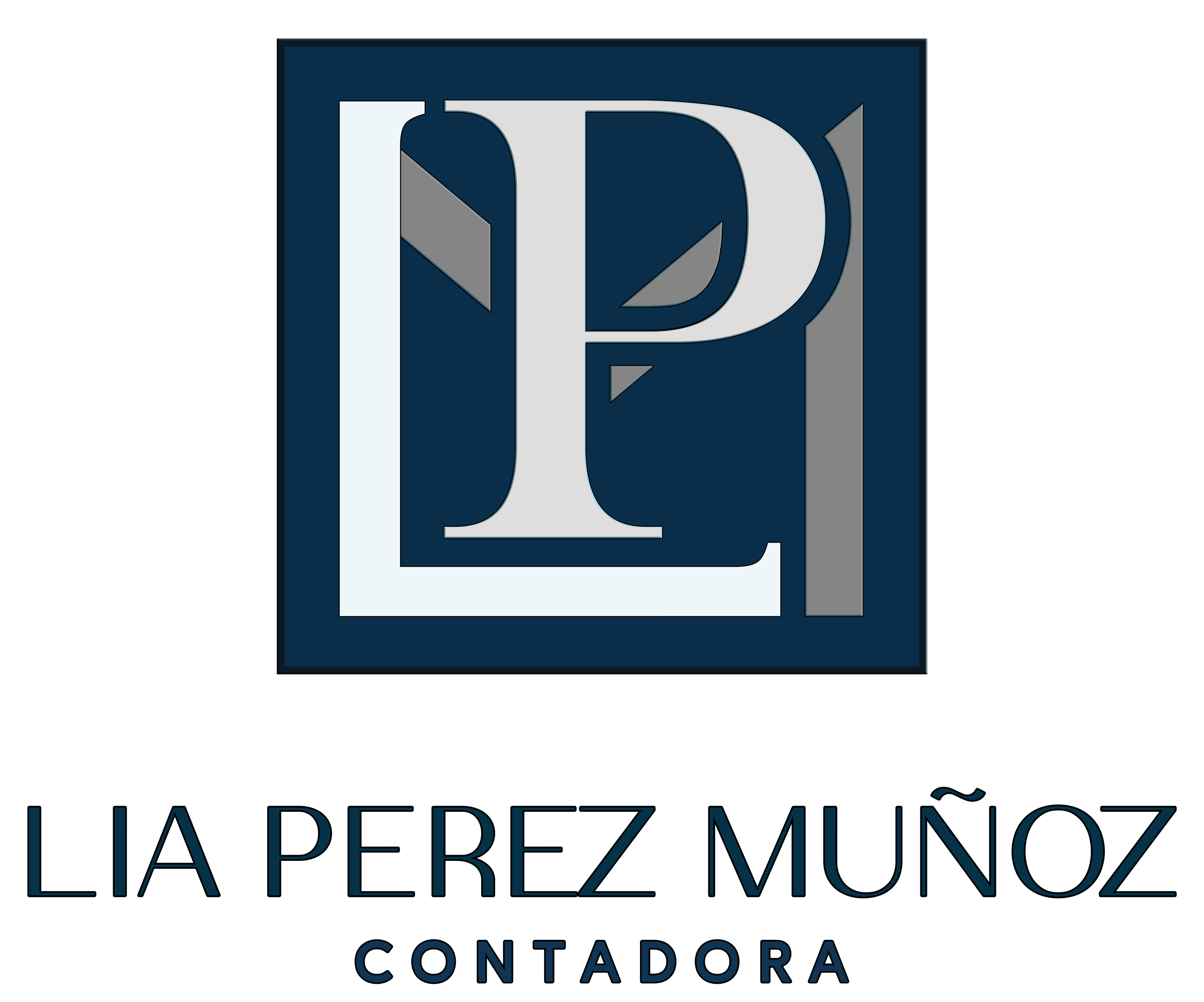 LIA PATRICIA PEREZ MUÑOZ